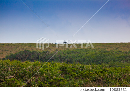 Hateruma島 Hateruma島 10883881