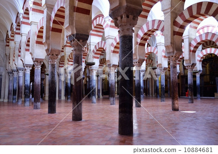 Mesquita · Cylinder forest Mesquita · Cylinder forest 10884681