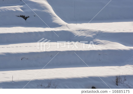 雪米梯田 雪米梯田 10885175