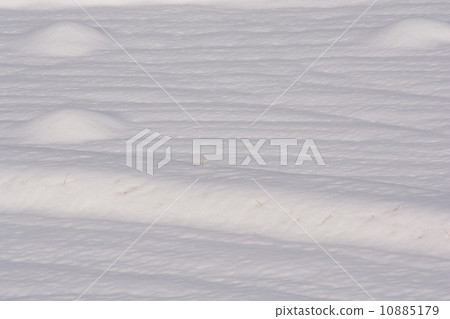 雪場2 雪場2 10885179