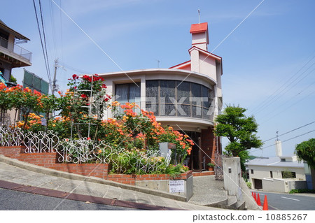 Rose church of Anne 10885267