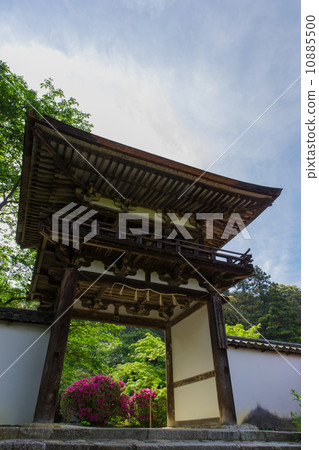 奈良Choshigeraji鐘樓門和杜鵑花杜鵑花 10885500
