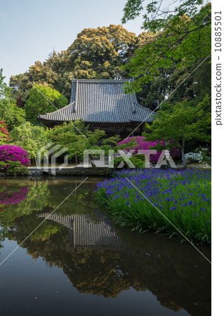 奈良寺廟出現池塘和筒井（前面垂直位置）的區域 10885501