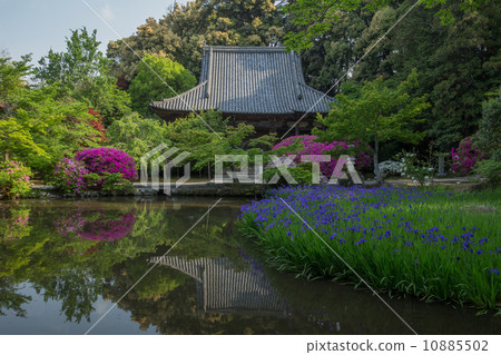 奈良寺廟出現池塘和筒井區（前水平位置） 10885502