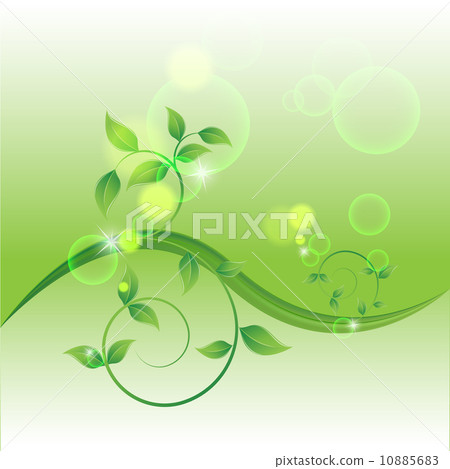 branch with fresh green leaves 10885683