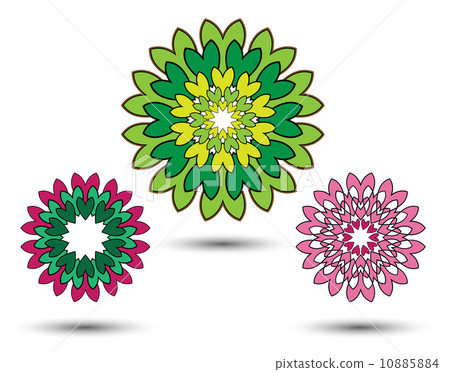 three flowers isolated 10885884