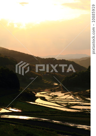 Daeguwa West Rice Terrace 2014051811 Daeguwa West Rice Terrace 2014051811 10885919