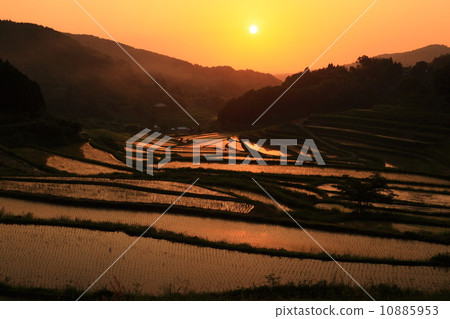 Daeguwa West Rice Terrace 201405313 Daeguwa West Rice Terrace 201405313 10885953