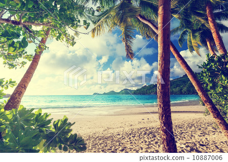 sunset on the beach Takamaka, Mahe island, Seychelles sunset on the beach Takamaka, Mahe island, Seychelles 10887006