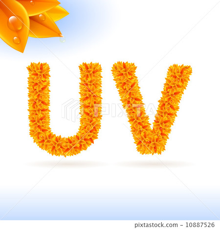 Sans serif font with fall leaf decoration 10887526