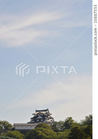 Hikone castle Hikone castle 10887555