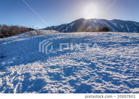 Mt. Hirakata from the climbing road of the snowy ridge 10887601