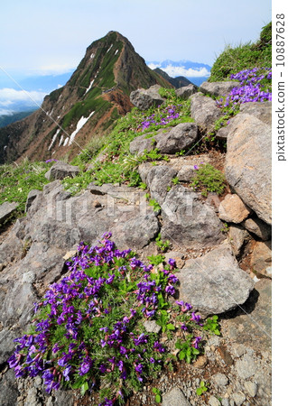 Yatsugatake和Yokodake ridgeline和Akatake的Oyama no Pea社區 10887628