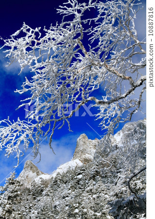 Yatsugatake · Akadake Jizo from the climbing of the ridge ice and the western wall of Yokodake Yatsugatake · Akadake Jizo from the climbing of the ridge ice and the western wall of Yokodake 10887816