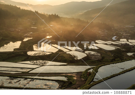 Morning morning rice terrace Morning morning rice terrace 10888871