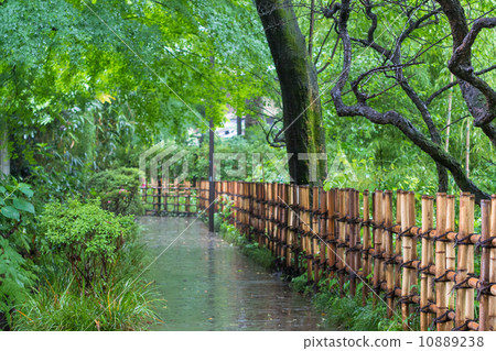 Rainy hawk way 10889238