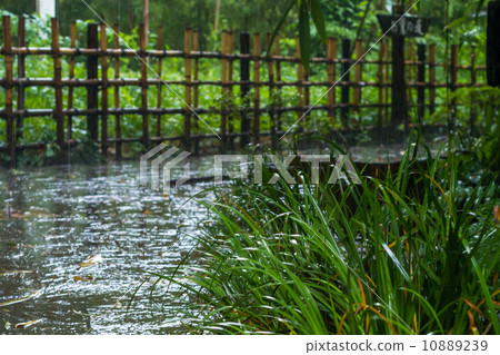 Rainy hawk way Rainy hawk way 10889239