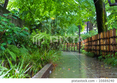 Rainy hawk way Rainy hawk way 10889240