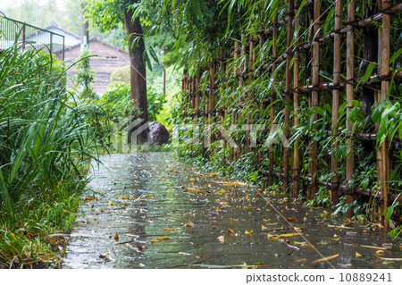 Rainy hawk way 10889241