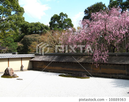 京都龍安寺岩石庭園(世界文化遺產) 京都龍安寺岩石庭園(世界文化遺產) 10889363