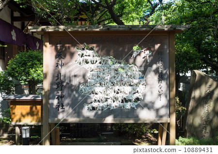 Beef Tenjin Kitano Shrine Omikuji Muscles 10889431