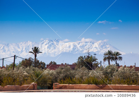 Marrakech 10889436