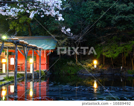 淺間神社的池塘 10889492