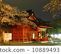 Sakura at night and Asama Shrine 10889493