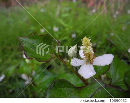 在一個下雨天 10890082