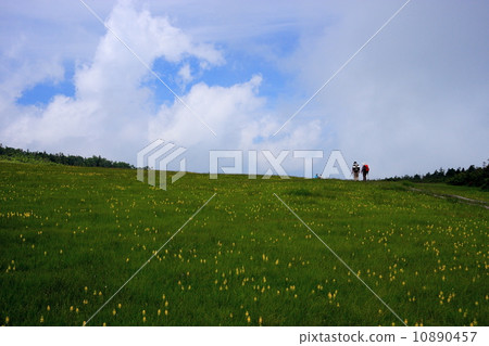 在Minamiaizu / Tashiyama山頂平原 在Minamiaizu / Tashiyama山頂平原 10890457