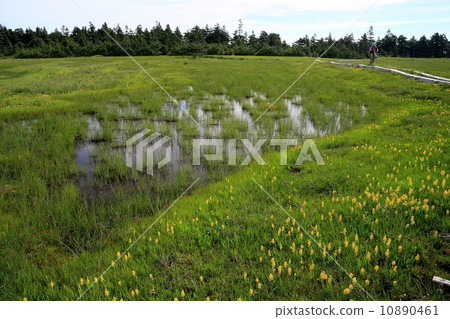 Minami Aizu · Tashiroyama mountaintop moorland's ital Tang 10890461