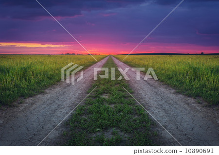 bike 10890691