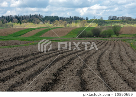 field field 10890699