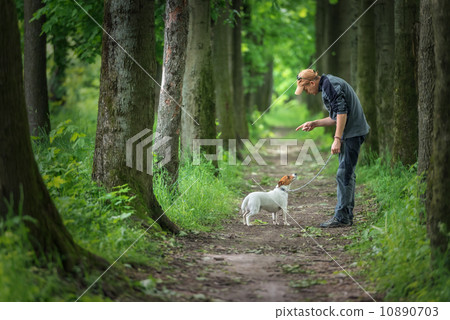 walking walking 10890703