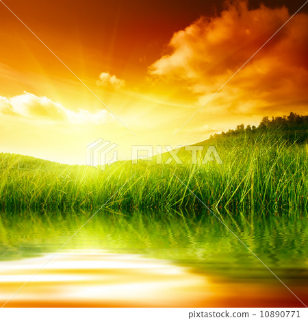 grass and water 10890771