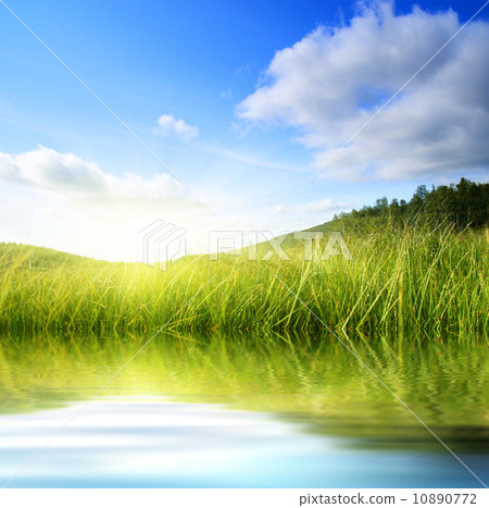 grass and water 10890772