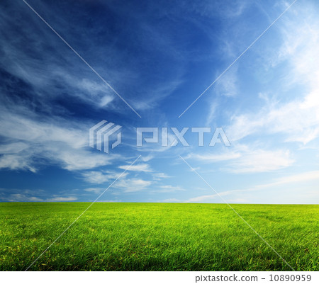 field of spring grass and sunset 10890959