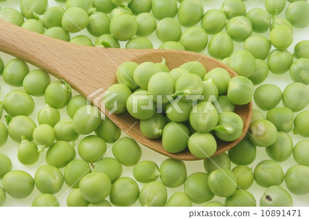豌豆 10891471