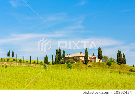 Tuscany at spring 10892434