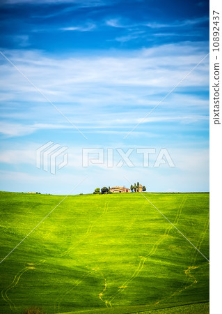 Tuscany at spring 10892437