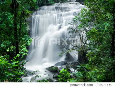 Tropical rain forest landscape with waterfall. Chiang Mai province, Thailand Tropical rain forest landscape with waterfall. Chiang Mai province, Thailand 10892530