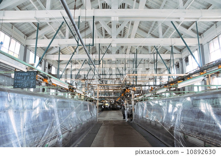 富岡市群馬縣世界遺產富岡絲綢廠 10892630