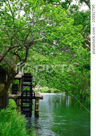 安曇野芥末農場 10892790