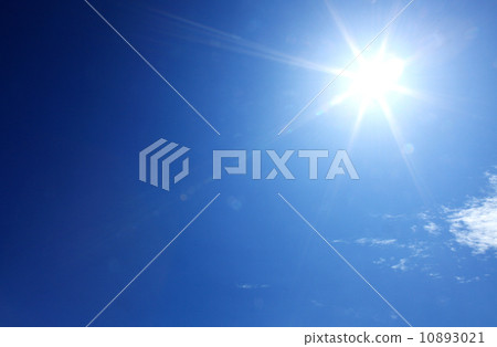 Early summer sun 10893021