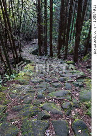 Matsumoto Pass Kumano Kodo Matsumoto Pass Kumano Kodo 10894912