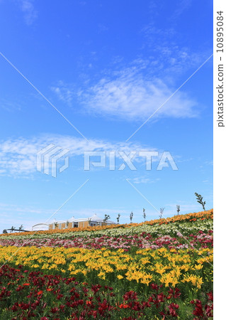 大阪Mai-zu·Yurien 10895084