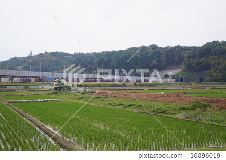 Now in Toyama 10896019