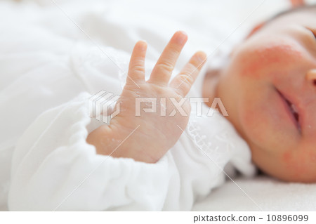1個月大的嬰兒手 10896099