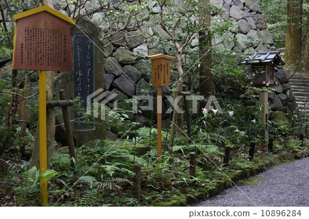 Shisuri(小笠神社) Shisuri(小笠神社) 10896284