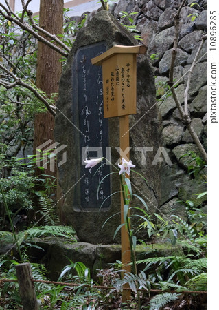 Shisuri(小笠神社) Shisuri(小笠神社) 10896285
